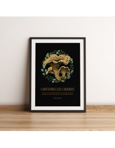 EKLIDS OUTDOOR poster: "Chanterelle"