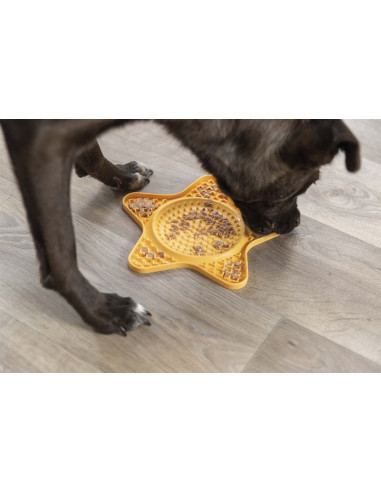 Lick'n'Snack platta, stjärna