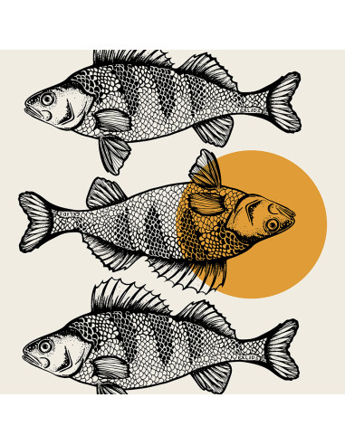 EKLIDS OUTDOOR poster: "Abborrdrömmar"