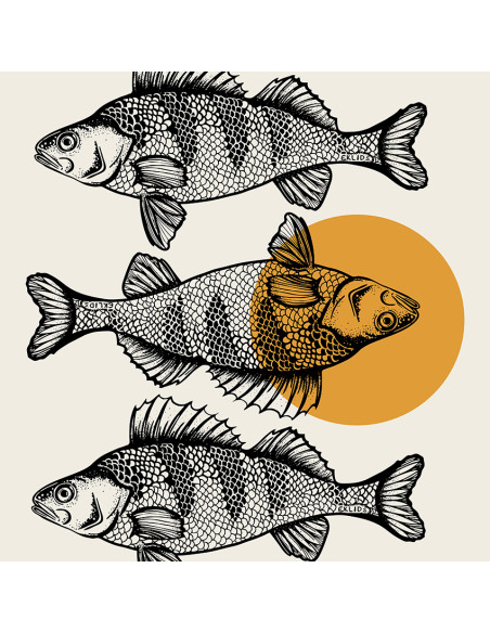 EKLIDS OUTDOOR poster: "Abborrdrömmar"