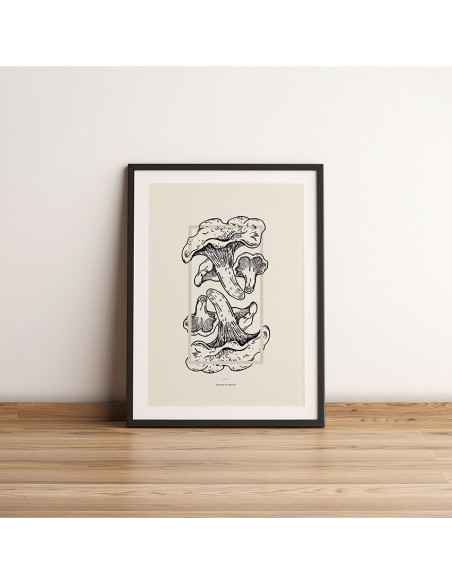 EKLIDS OUTDOOR poster: "Kantarelldrömmar"