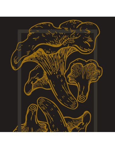 EKLIDS OUTDOOR poster: "Kantarelldrömmar"