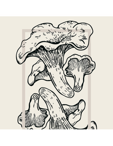 EKLIDS OUTDOOR poster: "Kantarelldrömmar"