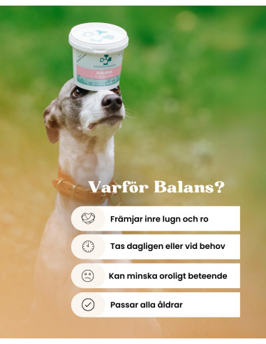 Balans 45 tuggbitar / 120g