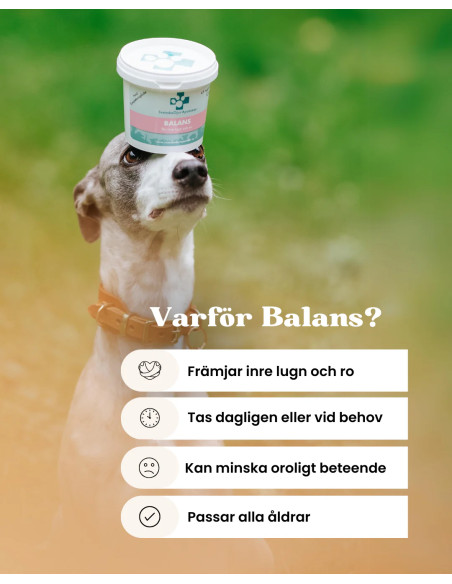 Balans 45 tuggbitar / 120g