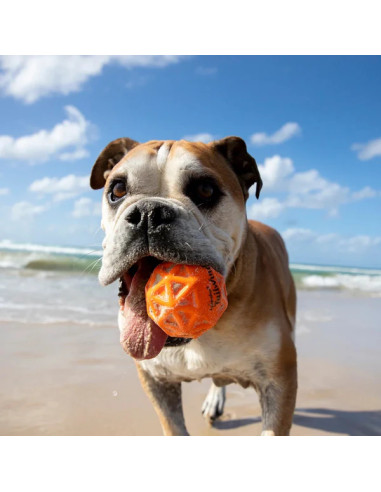 WABOBA Tailwind Dog Ball