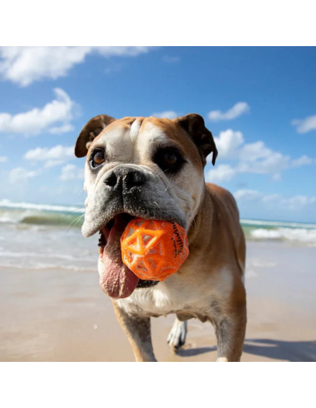 WABOBA Tailwind Dog Ball