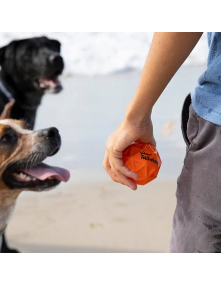 WABOBA Tailwind Dog Ball