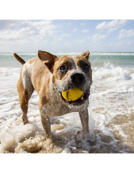 WABOBA Fetch Dog Ball