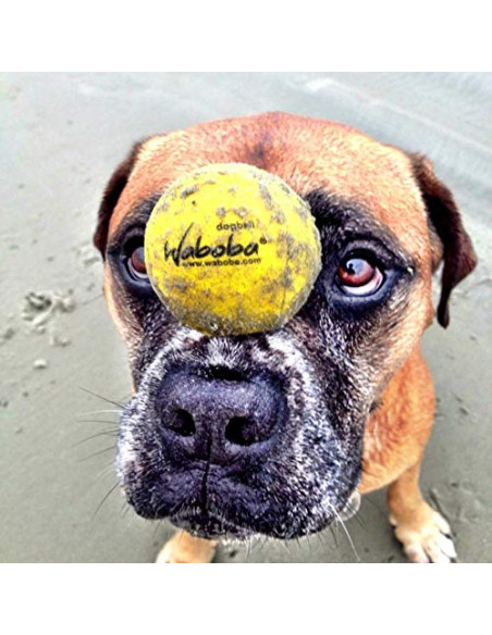 WABOBA Fetch Dog Ball