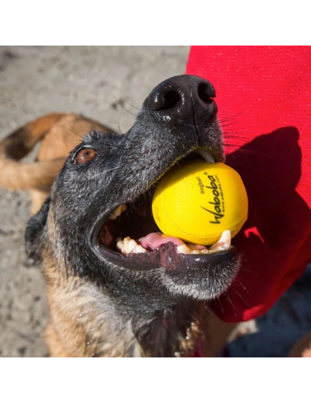 WABOBA Fetch Dog Ball