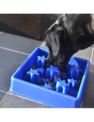 Matskål eat slow live longer