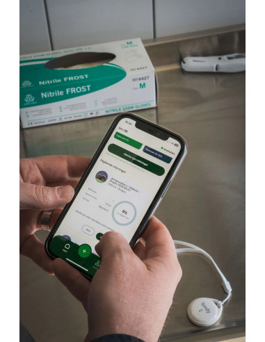 Nemus Mörningstimer