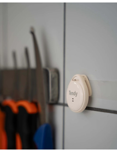 Nemus Mörningstimer