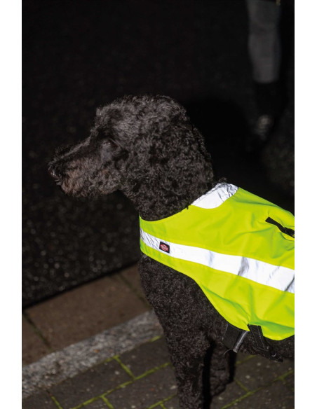 Säkerhetsväst Reflex