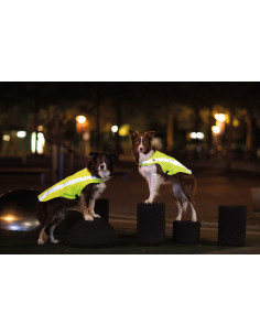 Säkerhetsväst Reflex 2