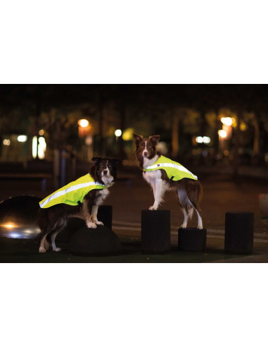 Säkerhetsväst Reflex