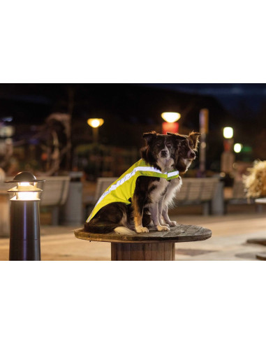 Säkerhetsväst Reflex