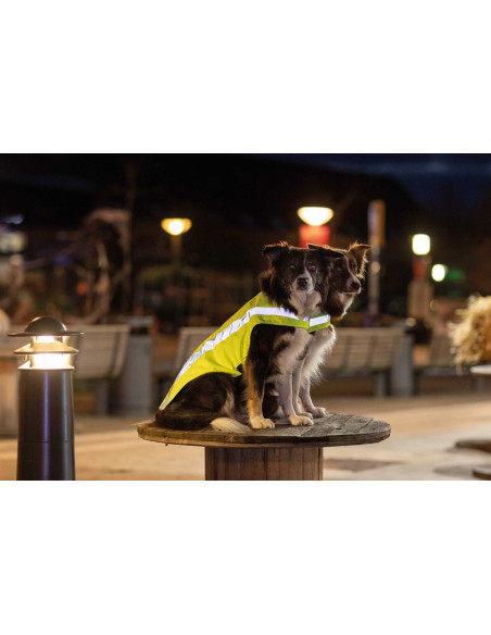 Säkerhetsväst Reflex