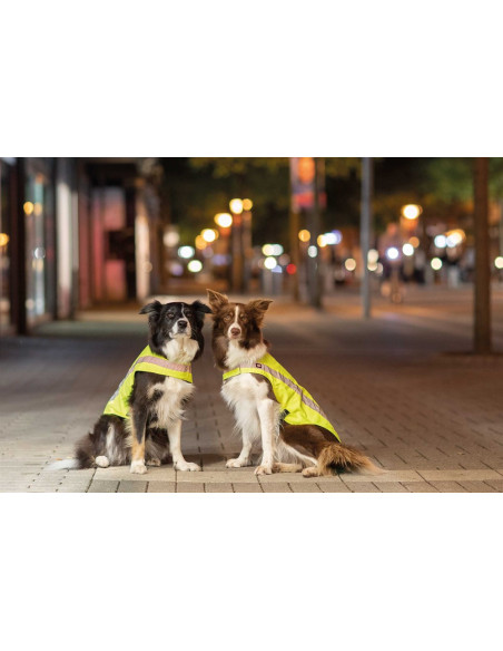 Säkerhetsväst Reflex