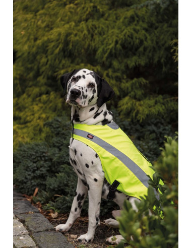 Säkerhetsväst Reflex