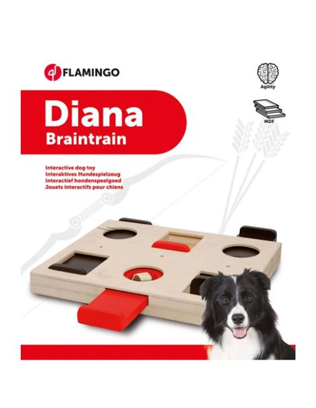 Leksak aktivitet trä Diana