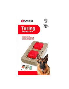 Leksak aktivitet trä Turing