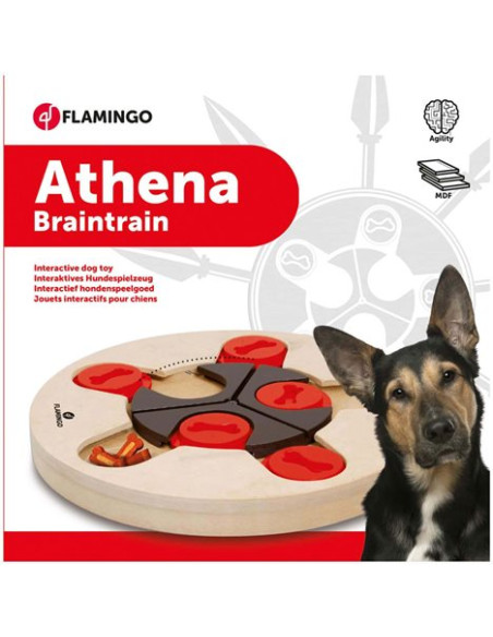 Leksak aktivitet trä Athena