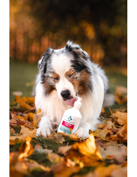 Svenska DjurApoteket Laxolja