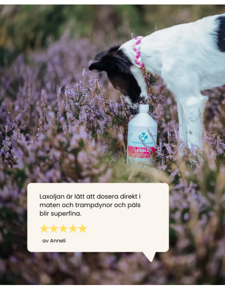 Svenska DjurApoteket Laxolja
