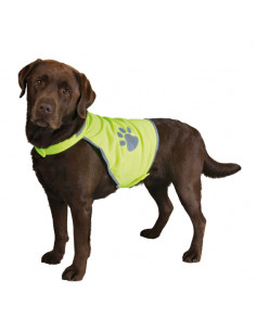 Reflexväst för hund