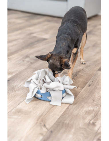 Hide 'n' Sniff Bowl