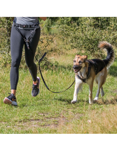 Handsfreebälte m expander 70-120/40cm