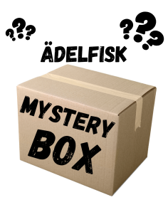 Mystery Box - Ädelfisk