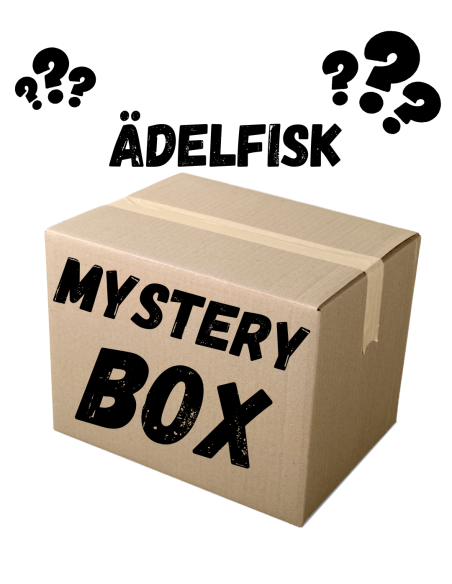 Mystery Box - Ädelfisk