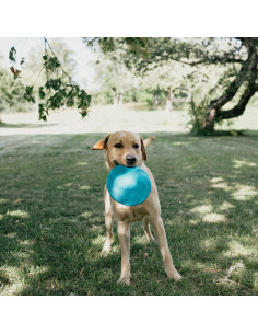 Frisbee - flytande 2