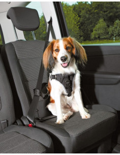 Bilsele Dog Protect 2