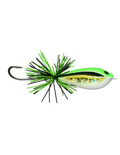 BX Skitter Frog
