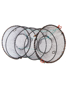 Goldfish Kräftbur Bra