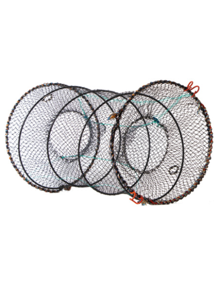 Goldfish Kräftbur Bra