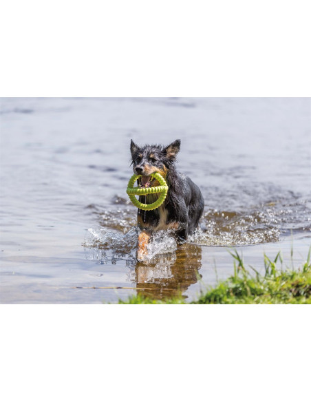 Aqua Toy Flossring - Flytande