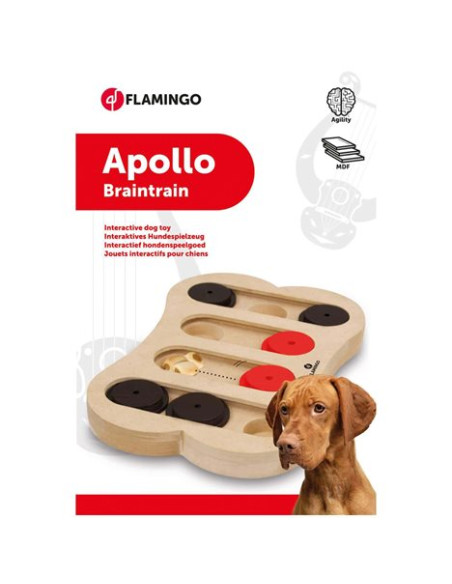 Leksak aktivitet trä Apollo