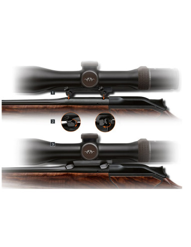 Blaser Sadelmontage Swarovski