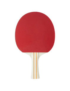 STIGA Bat 1-Star Evolve