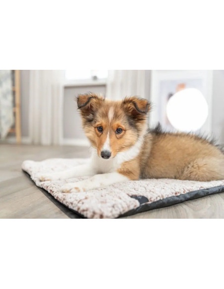 Calida Liggmatta Värmereflekterande