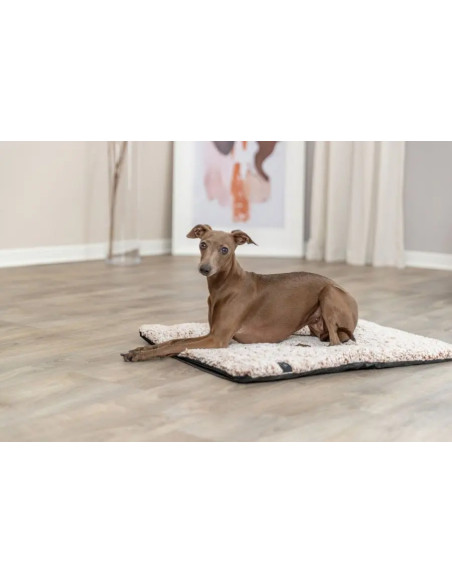 Calida Liggmatta Värmereflekterande