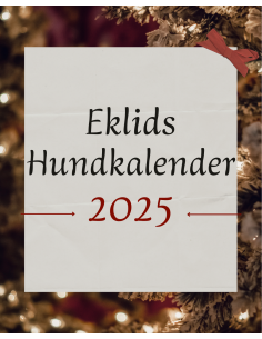 Hundkalender 2025