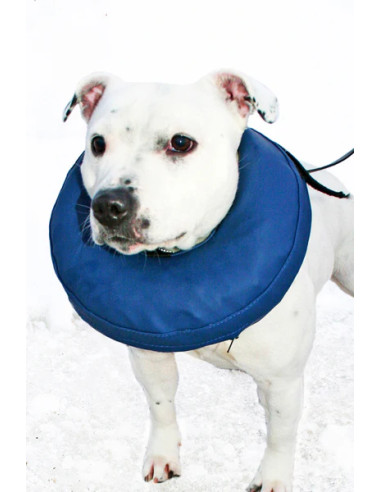 Hundkrage, Uppblåsbar