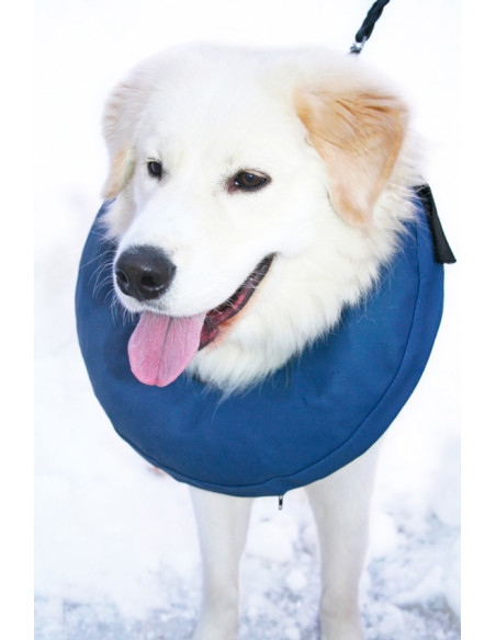 Hundkrage, Uppblåsbar