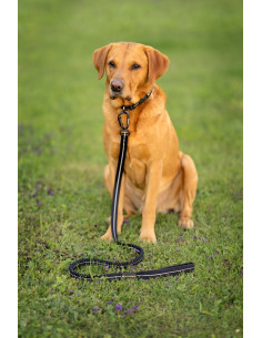 VIP Draglina Expander 2